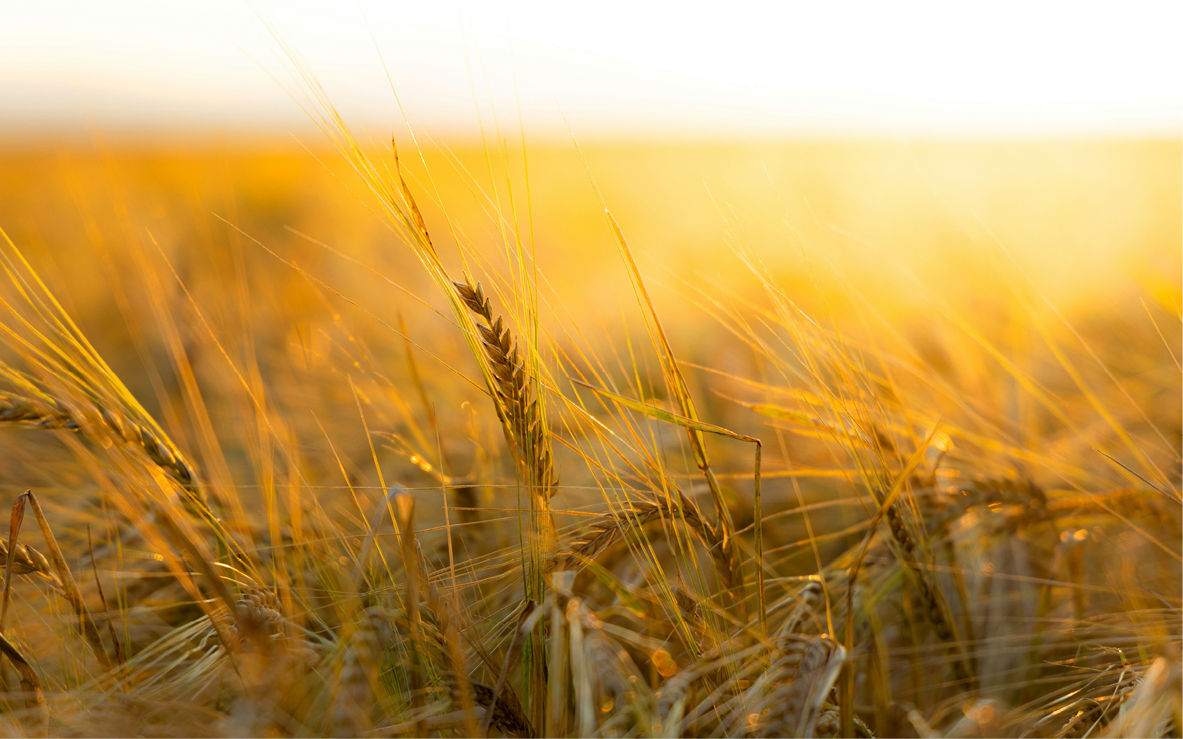 Homelessness and Addiction