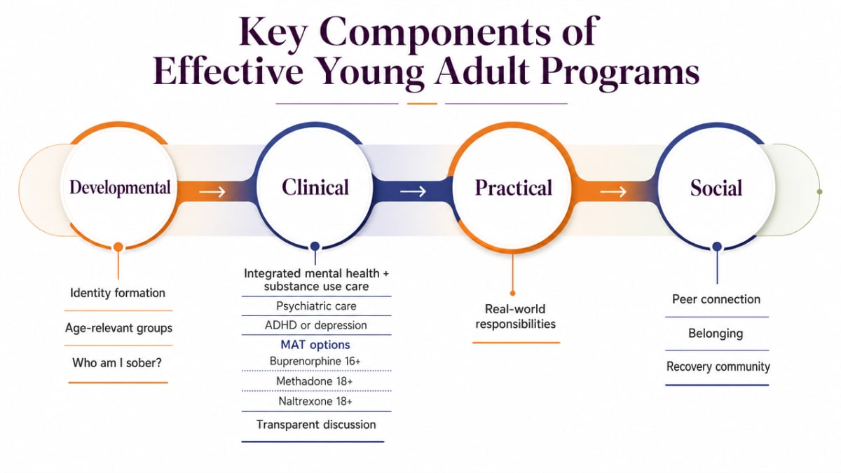Process infographic visualizing the four cited dimensions of effective young adult treatment (Developmental, Clinical, Practical, Social) described in this section