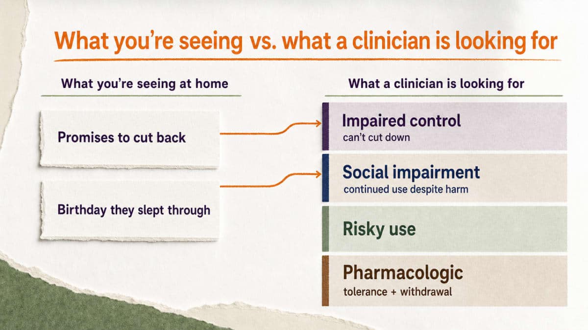 Visualize the DSM-5-TR four-bucket framework (impaired control, social impairment, risky use, pharmacologic) that this section explicitly maps against the domestic signs in the article