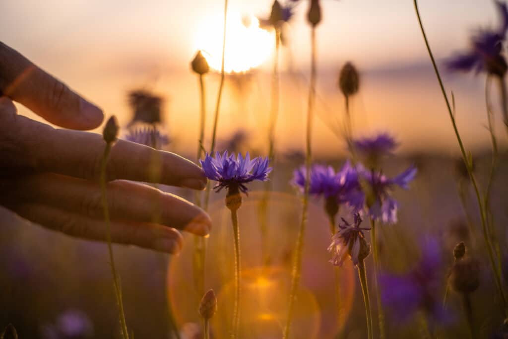 methamphetamine addiction treatment Oklahoma