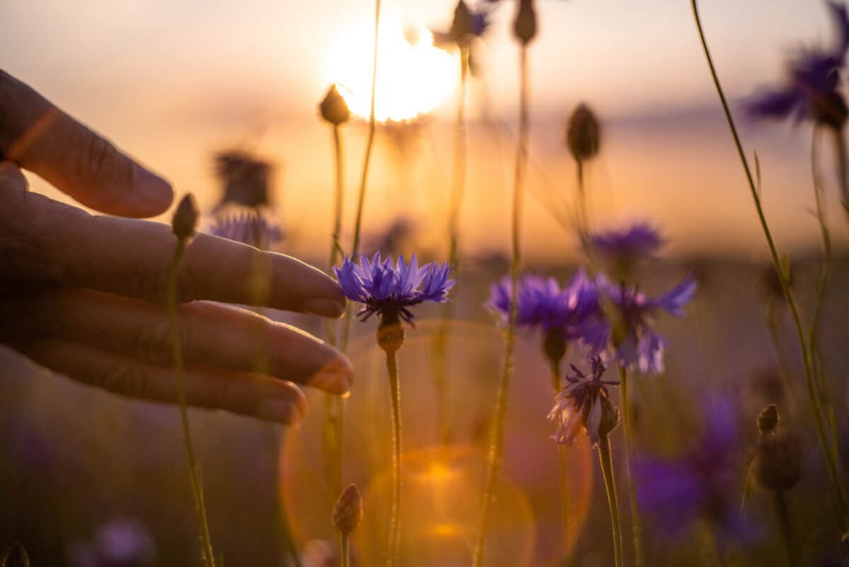 methamphetamine addiction treatment Oklahoma